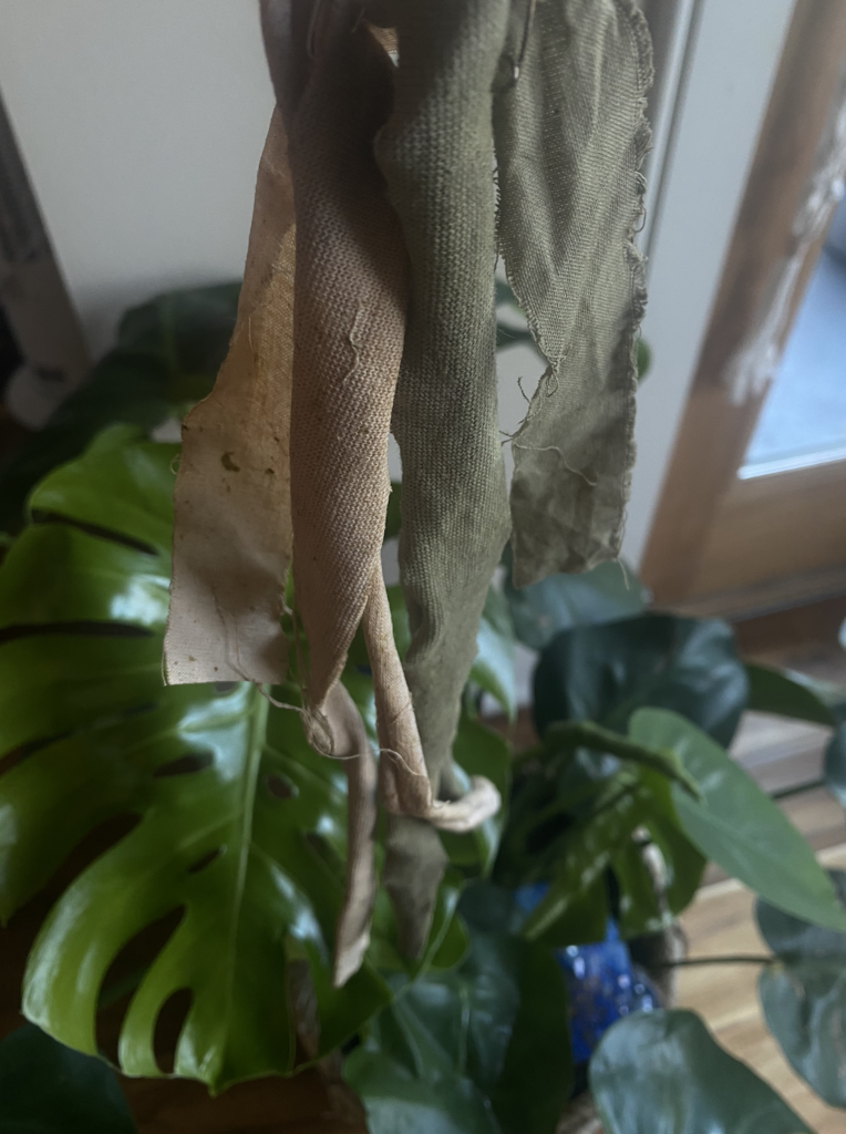 Natural dyeing