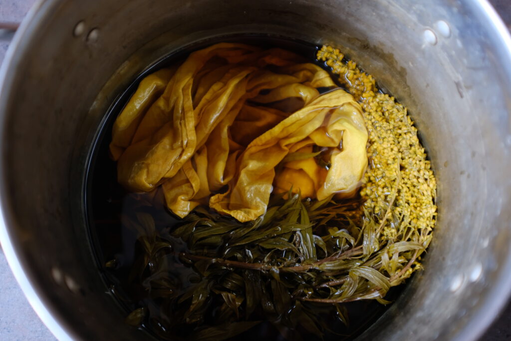 Natural dye bath with goldenrod