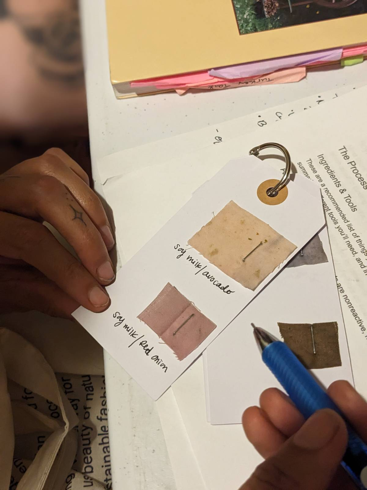 natural dye workshop